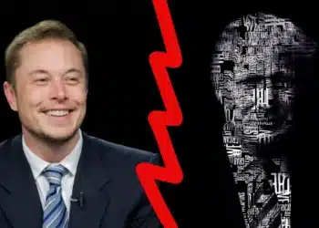 Elon Musk Donald Trump