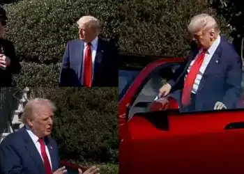 Donald Trump, Elon Musk a Tesla