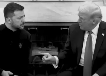 Trump Zelensky