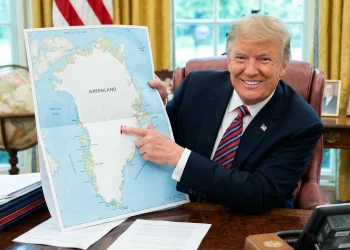 Donald trump gronsko